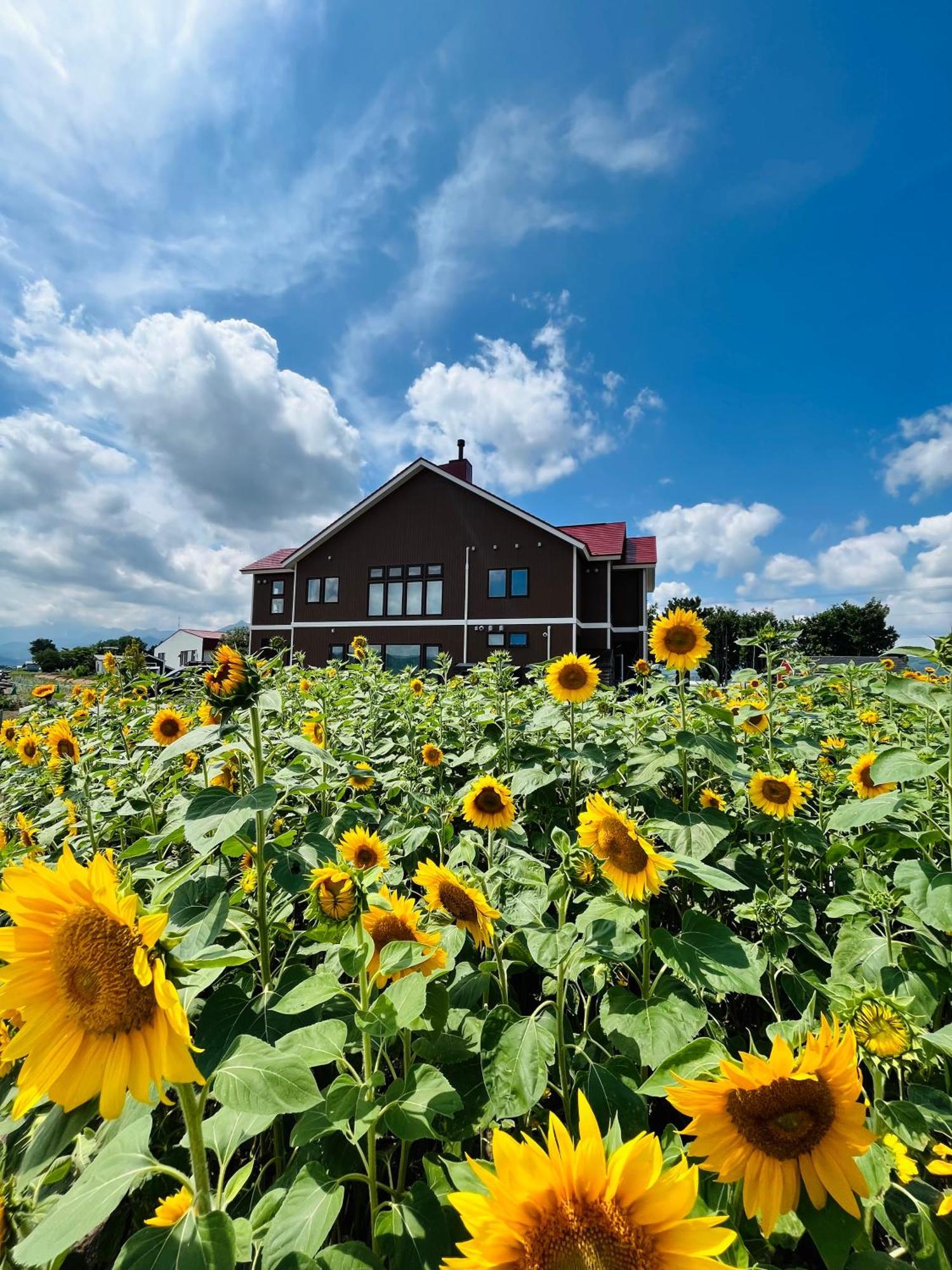 Shooting Star The Bed & Breakfast NakaNakafurano Esterno foto